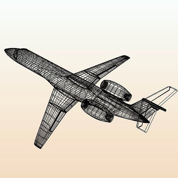 Embraer ERJ-135 business jet Low-poly 3D model_12