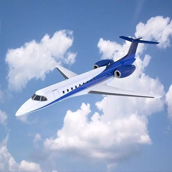 Embraer ERJ-135 business jet Low-poly 3D model_0
