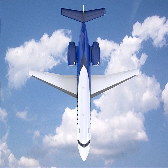 Embraer ERJ-135 business jet Low-poly 3D model_7