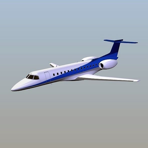Embraer ERJ-135 business jet Low-poly 3D model_9