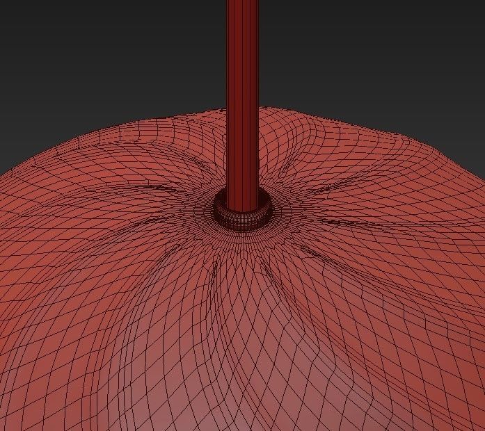 Anetta Lubin 3D model_4