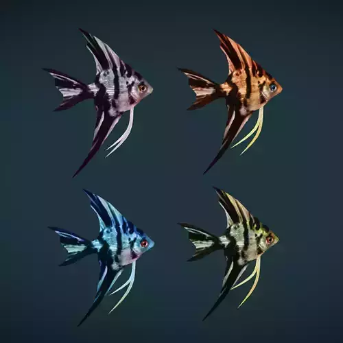 Low poly Angel Fish