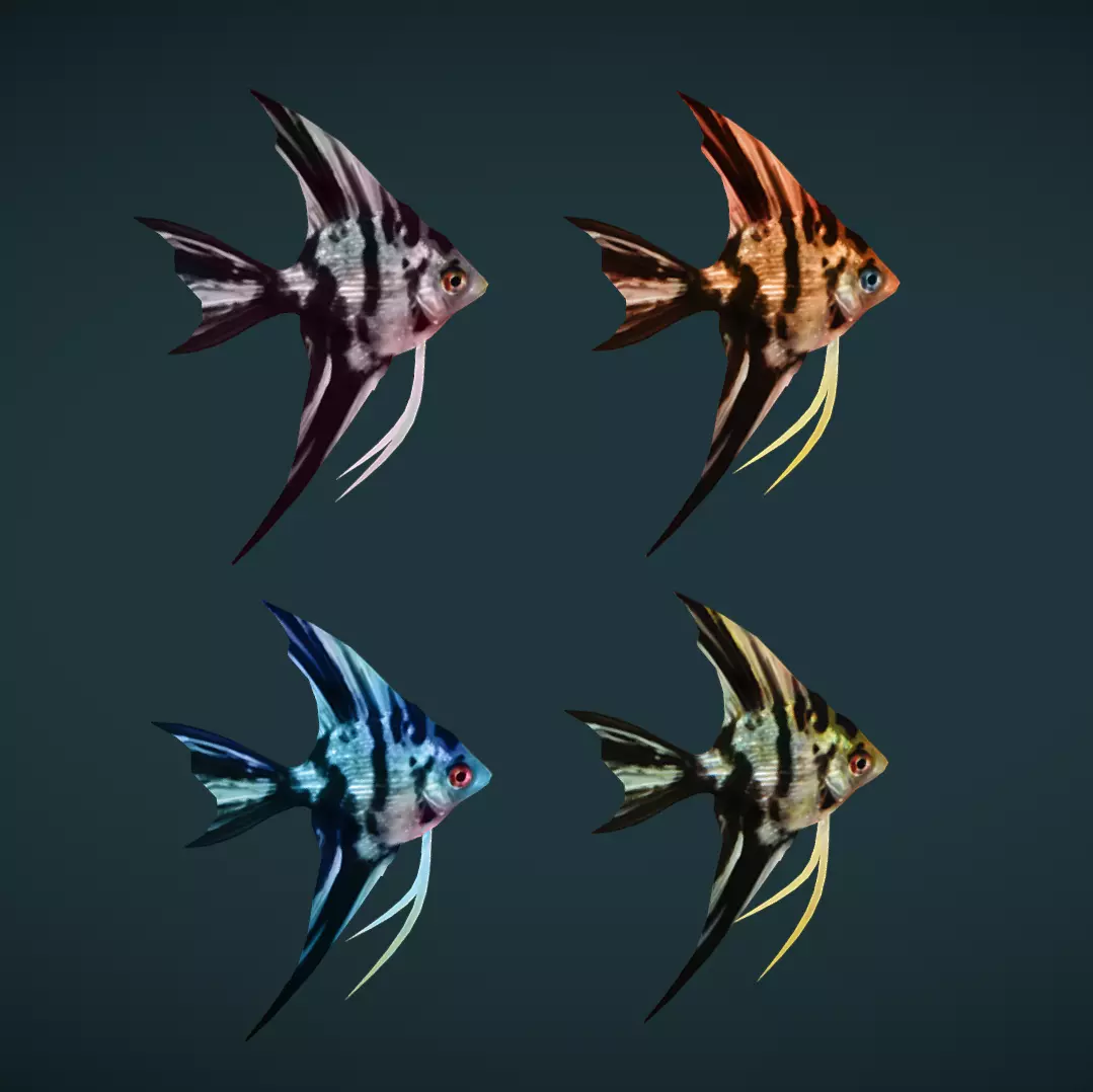 Low poly Angel Fish Low-poly 3D model_0