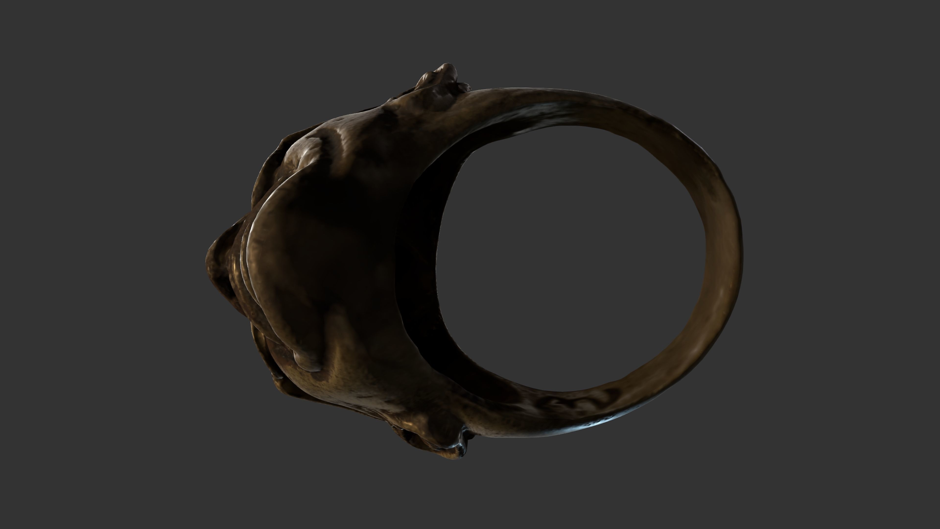 Gandhi Ring 3DP 3D print model_25