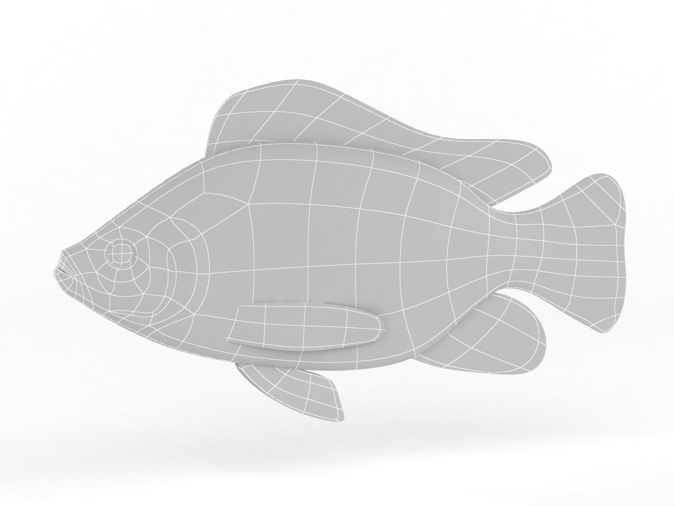 Tilapia Fish 3D model_6