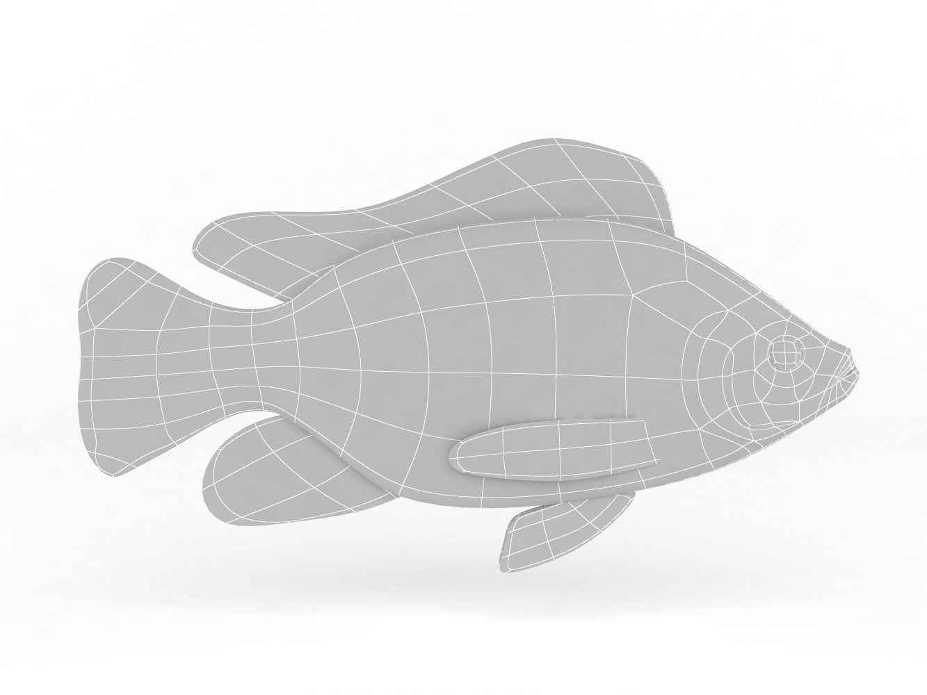Tilapia Fish 3D model_5