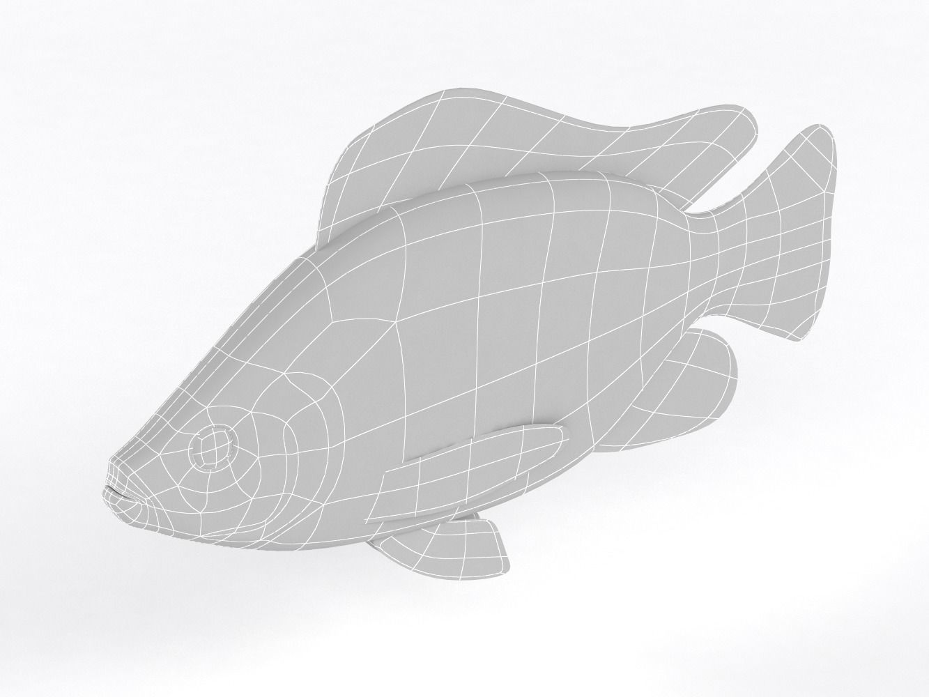 Tilapia Fish 3D model_9