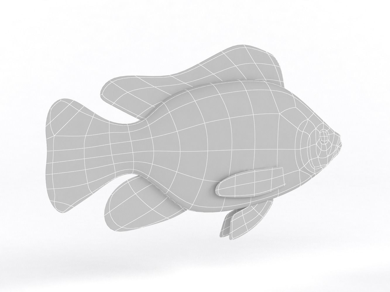 Tilapia Fish 3D model_8