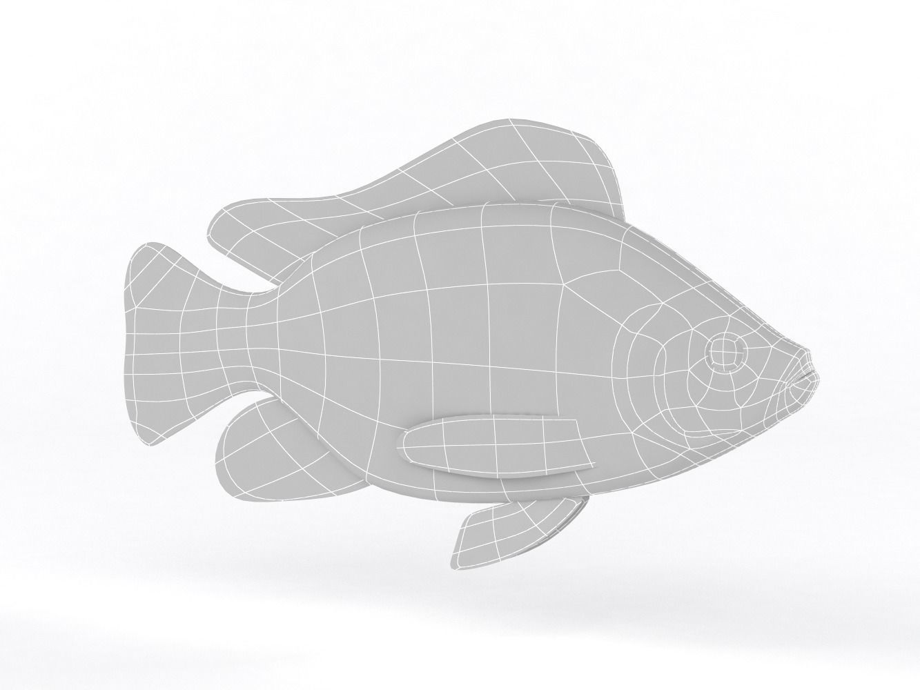 Tilapia Fish 3D model_7