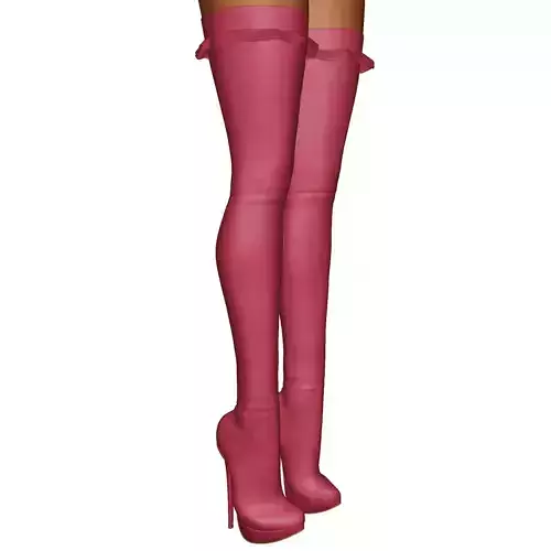 Women Boots High Heels