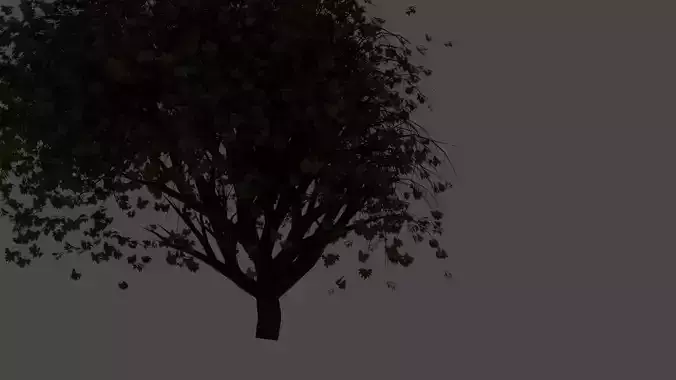 Trees tree with leaves 3D model