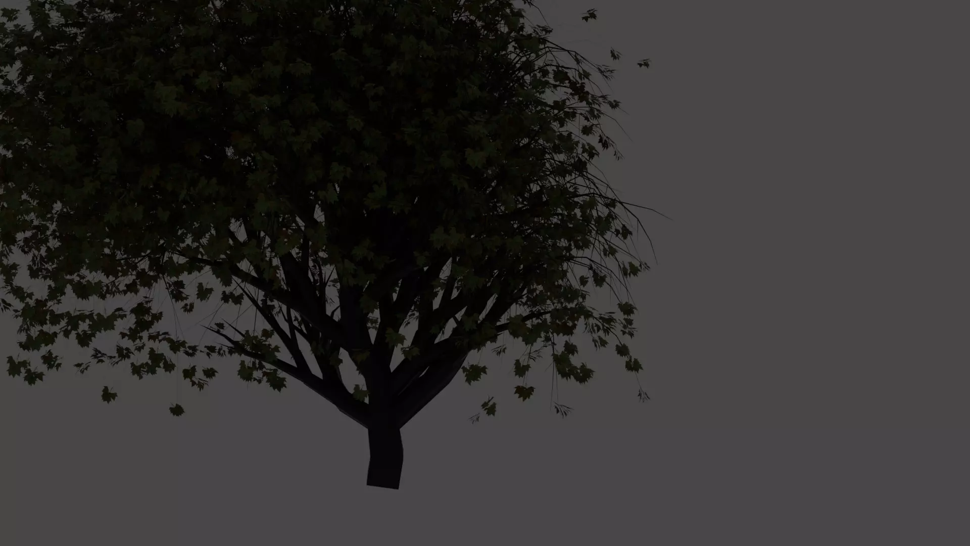 Trees tree with leaves 3D model_0