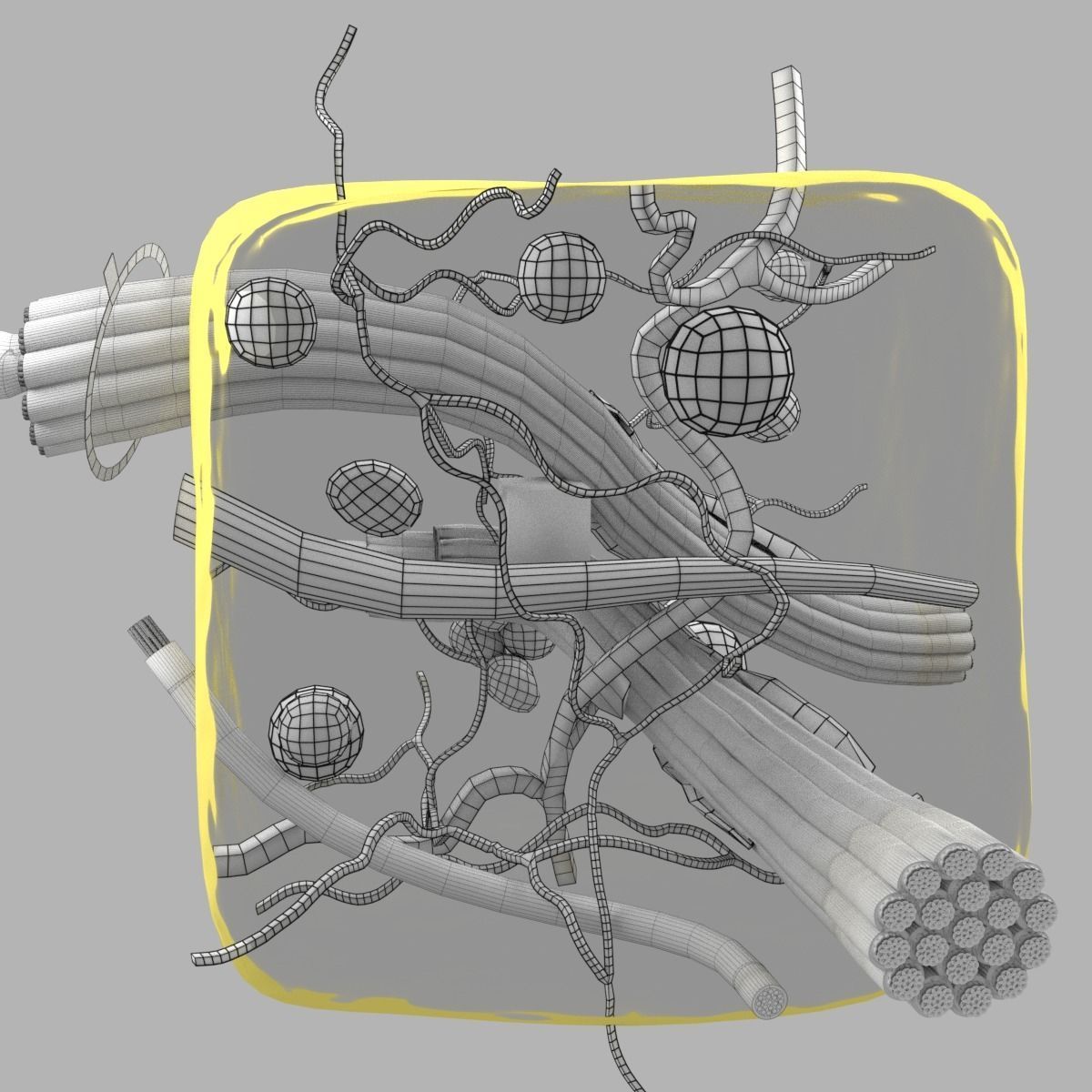 connective tissue elements labelled 3D model_94