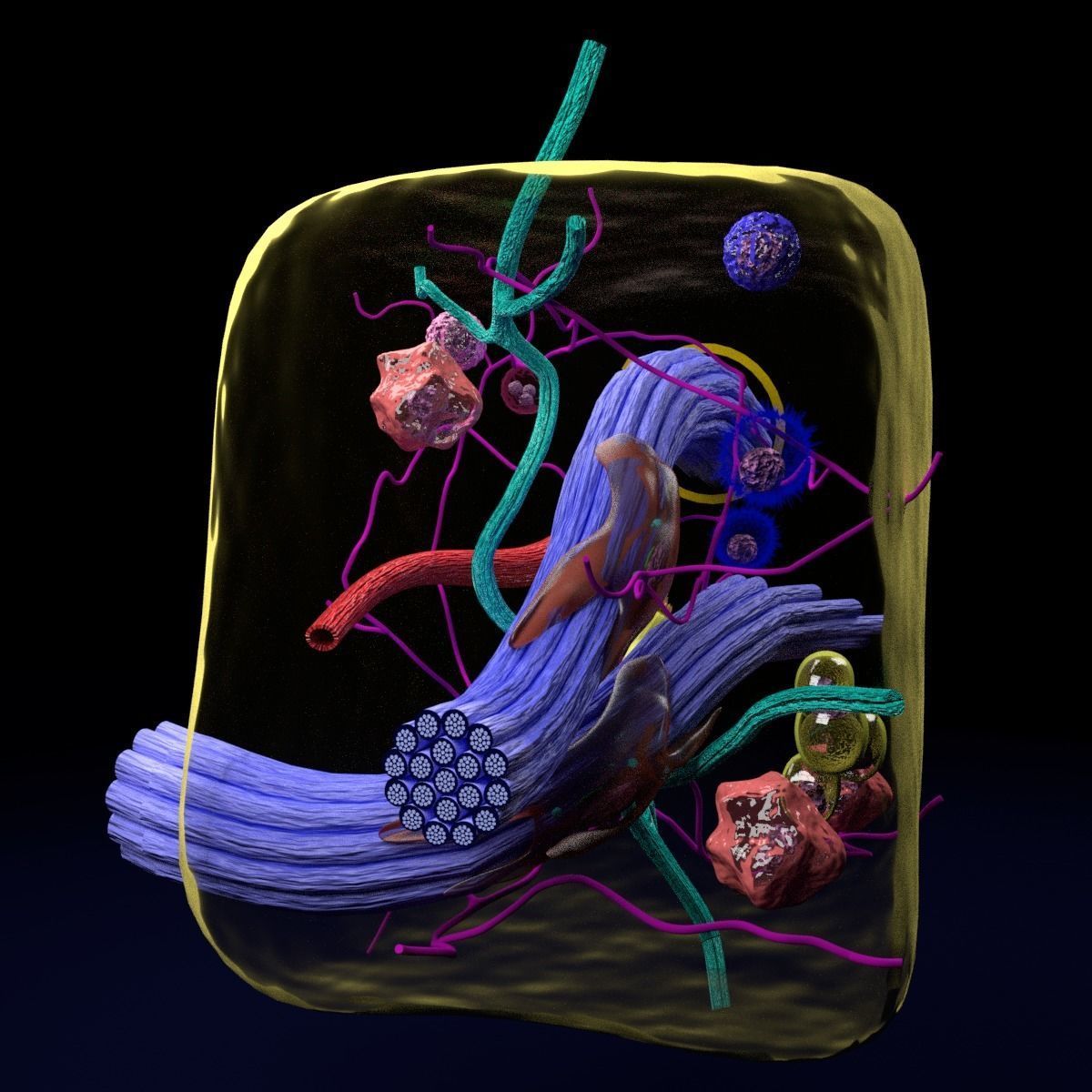 connective tissue elements labelled 3D model_86