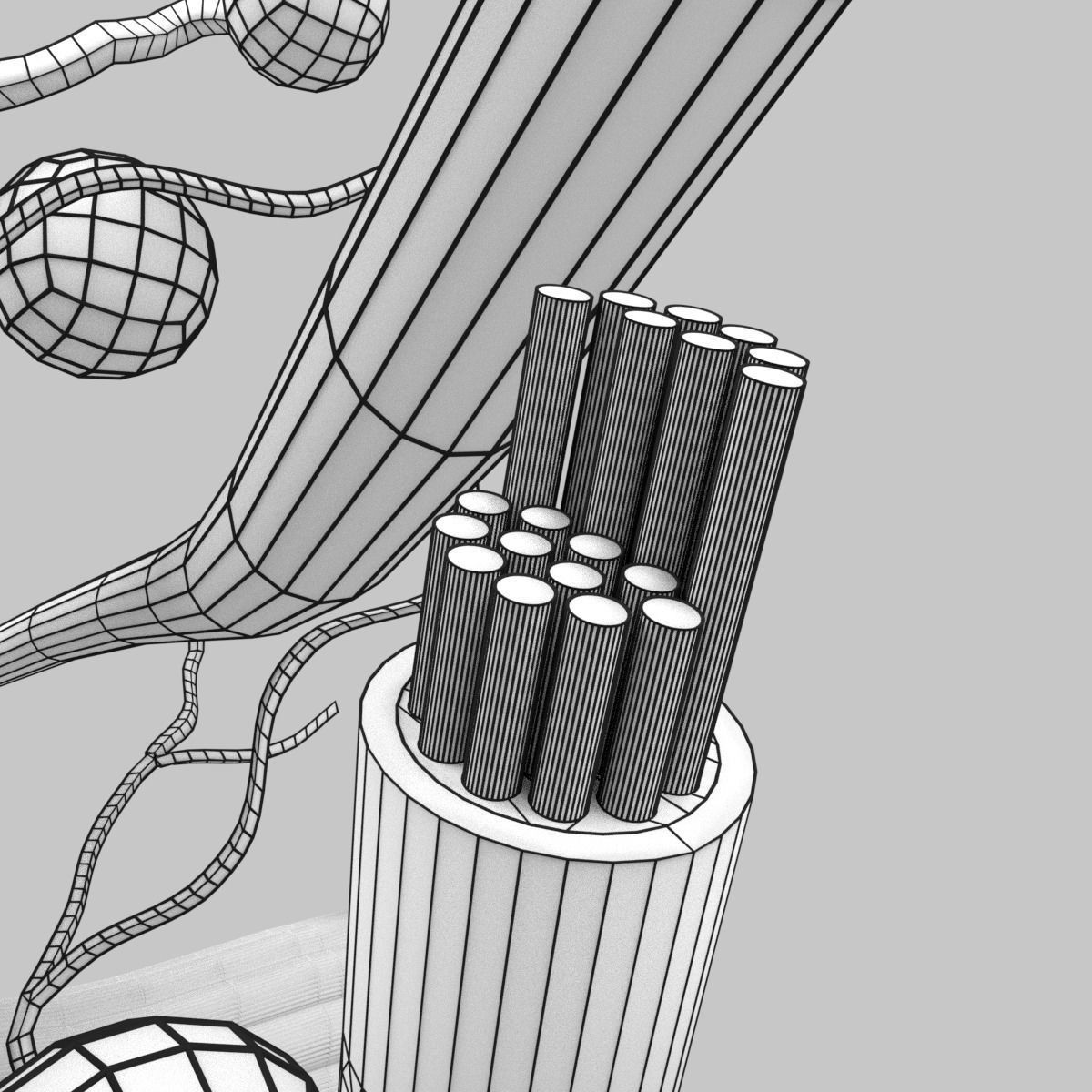 connective tissue elements labelled 3D model_99