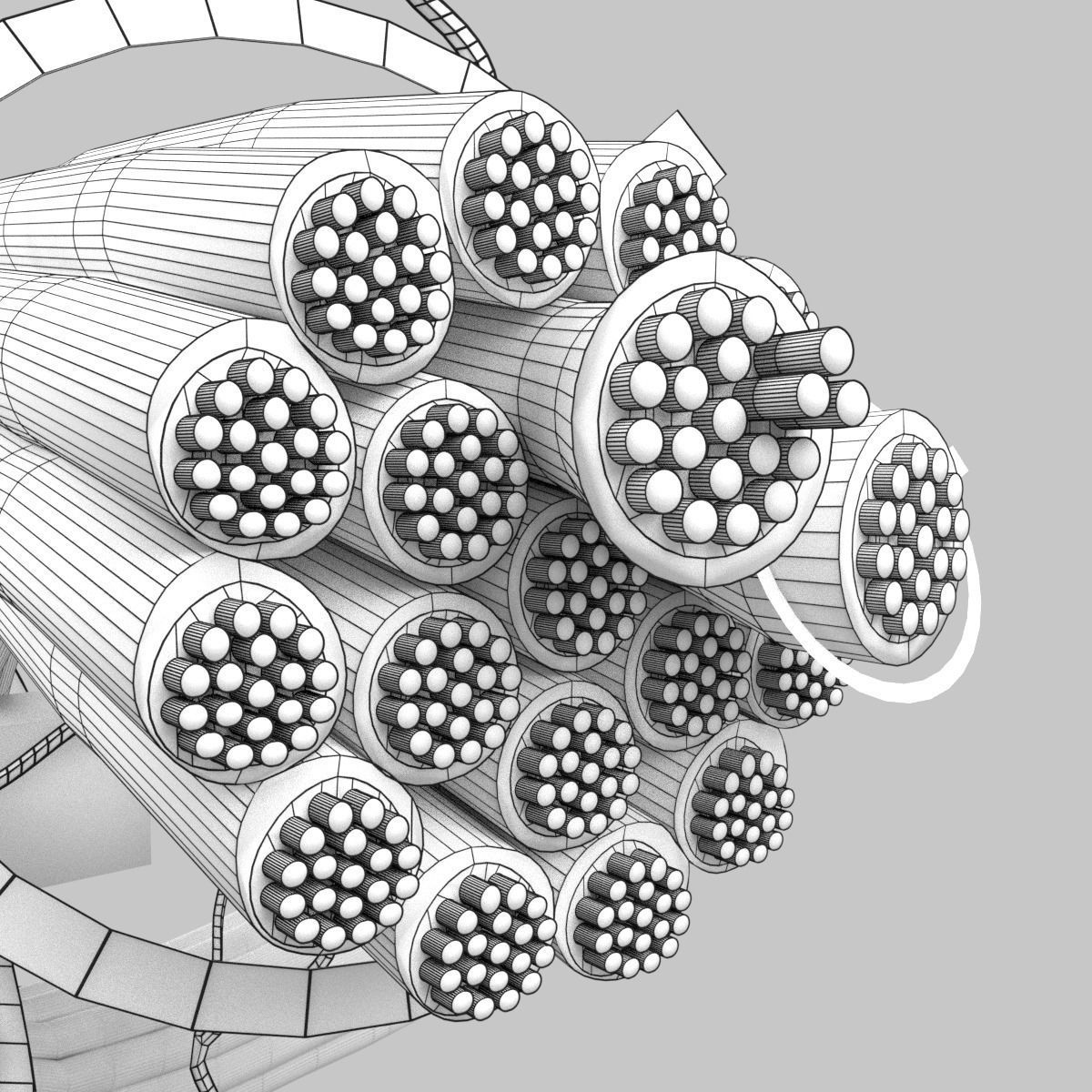 connective tissue elements labelled 3D model_98