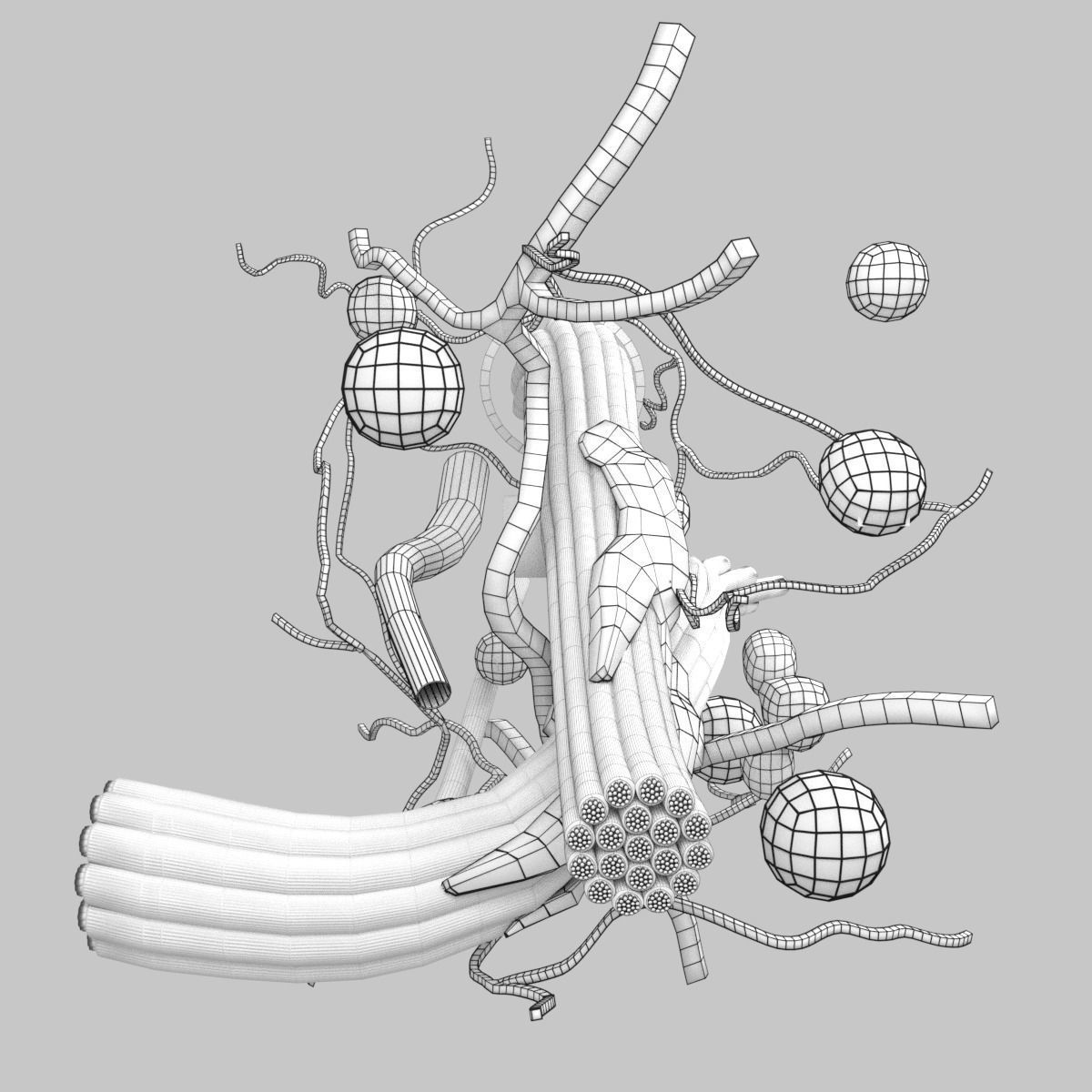 connective tissue elements labelled 3D model_97