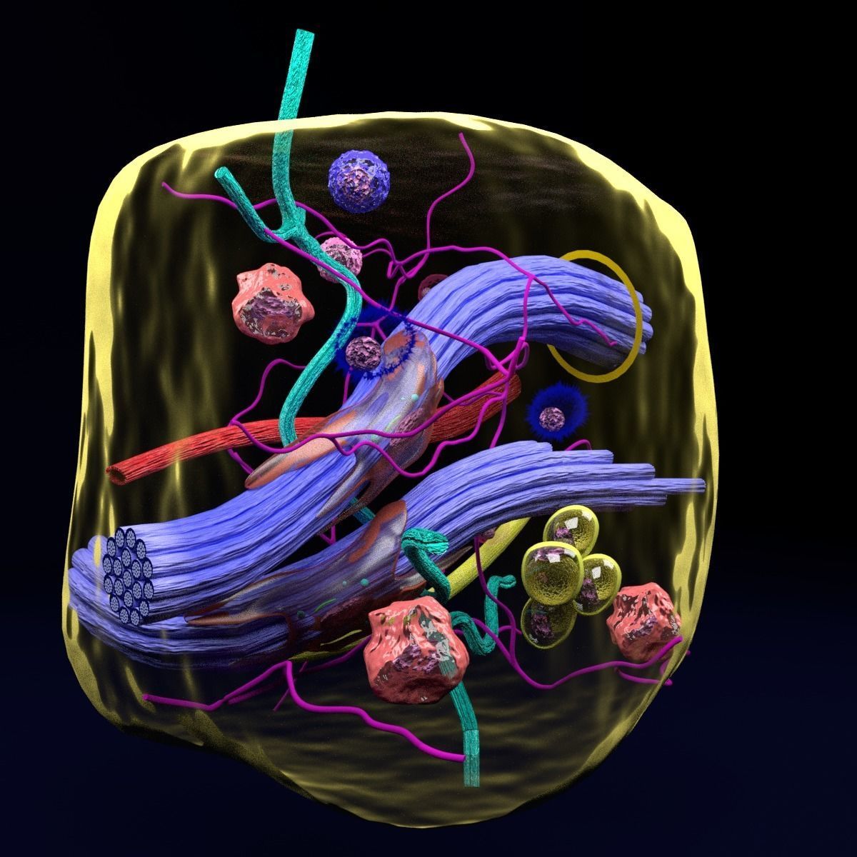 connective tissue elements labelled 3D model_87