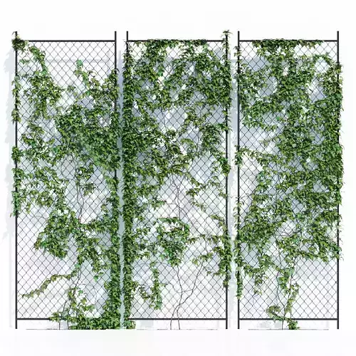 Ivy wall 3D model