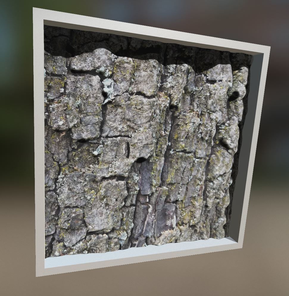 Pine bark texture 3D model_5
