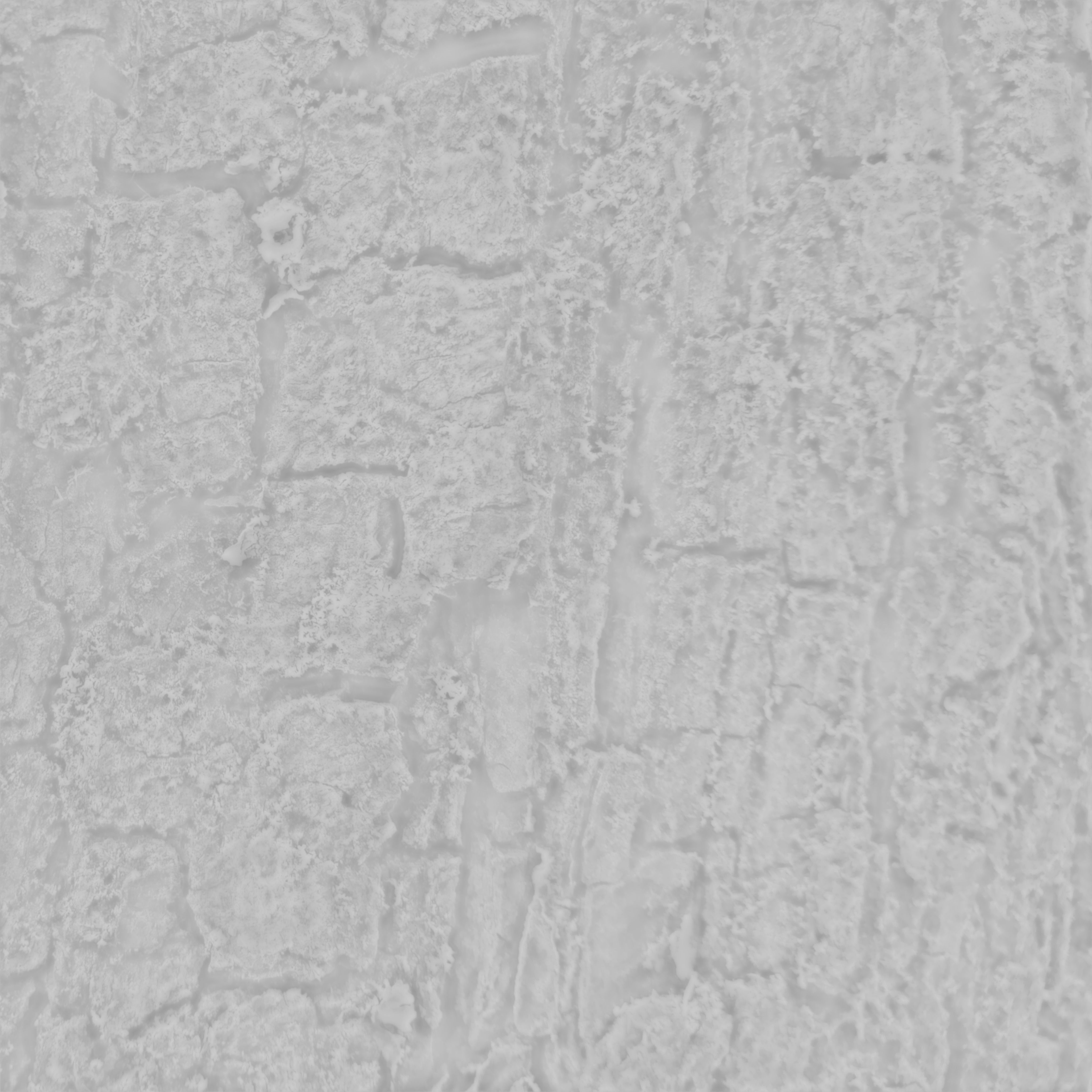 Pine bark texture 3D model_3