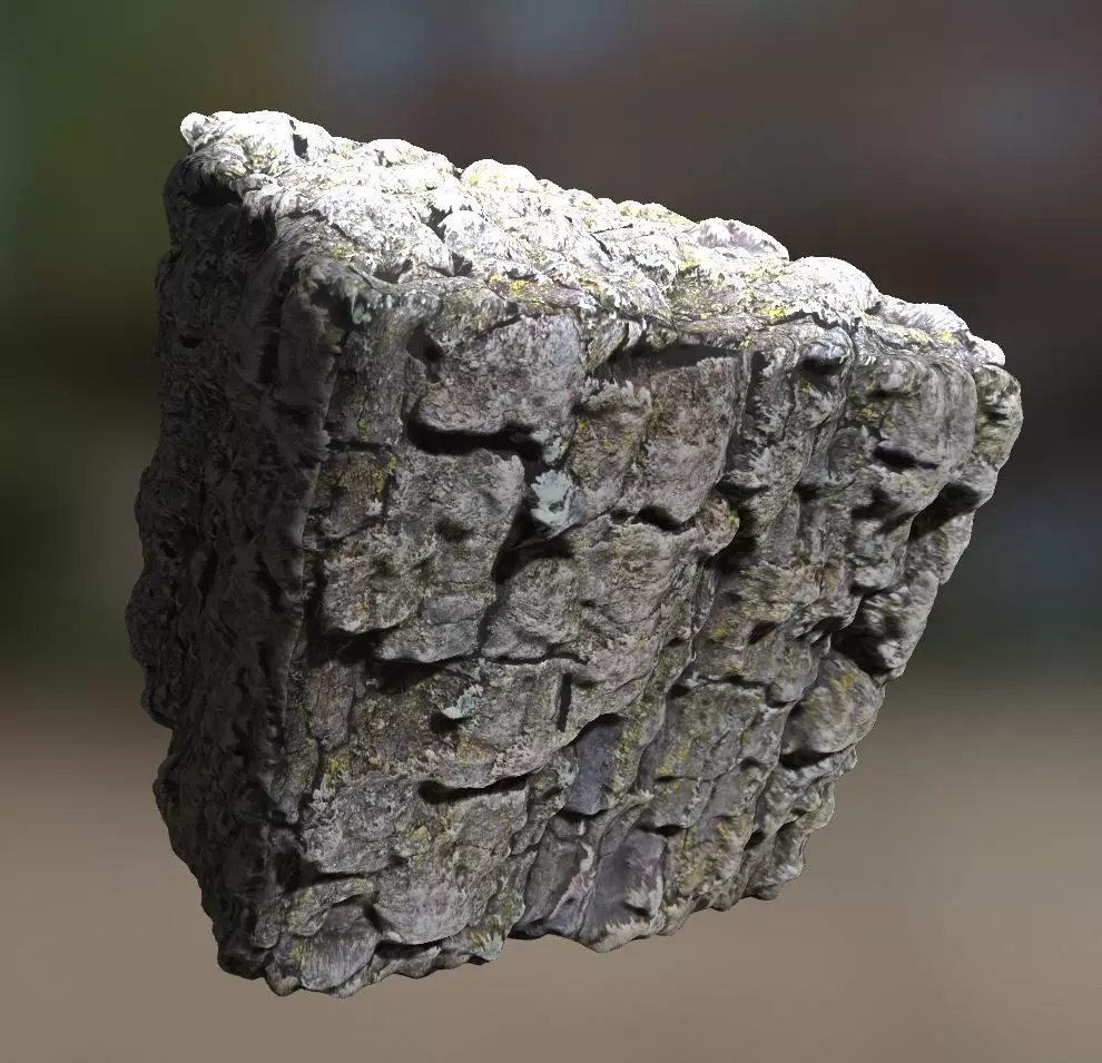 Pine bark texture 3D model_0