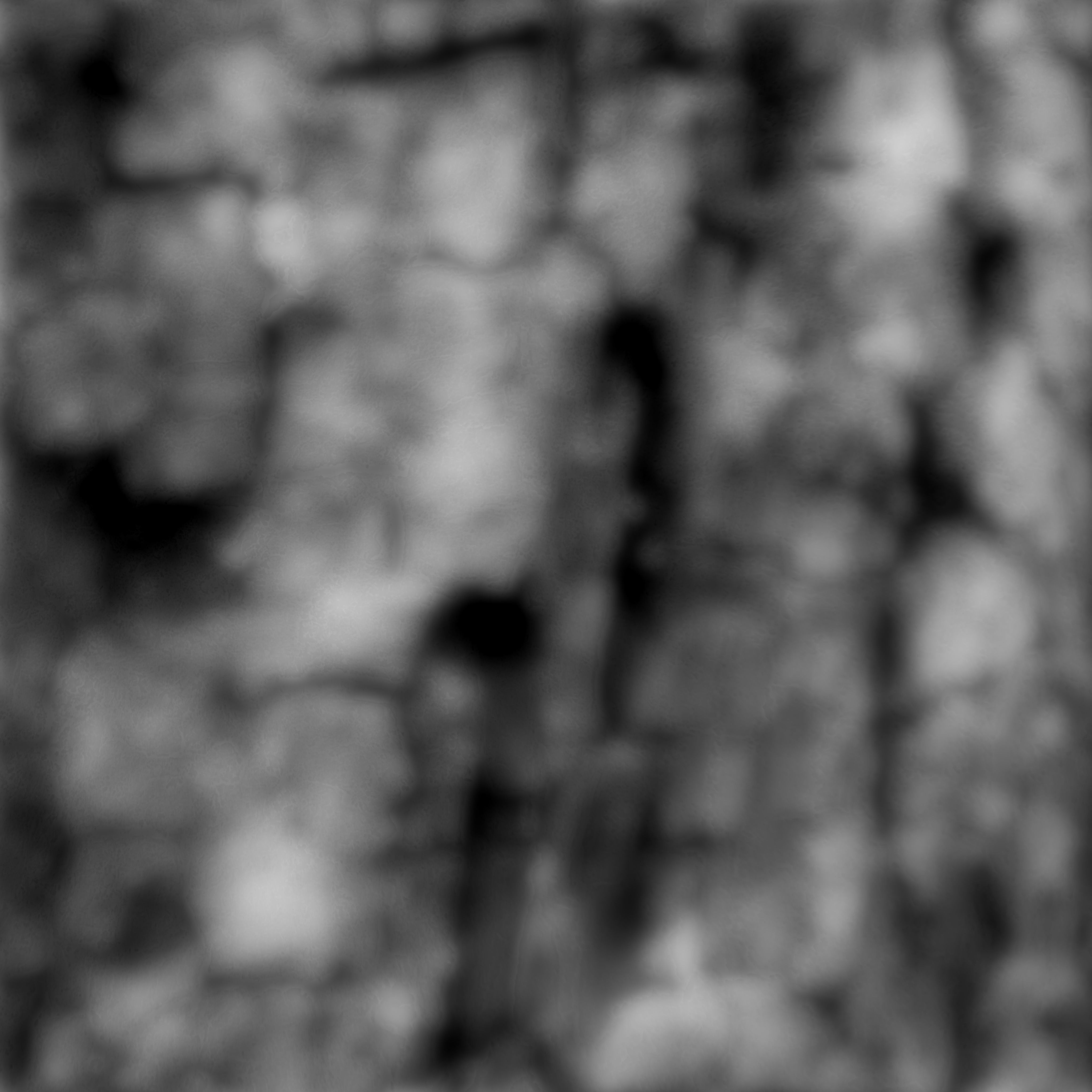 Pine bark texture 3D model_2