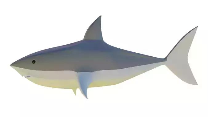 low poly shark