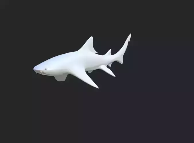 Smooth Leopard Shark model 3D model