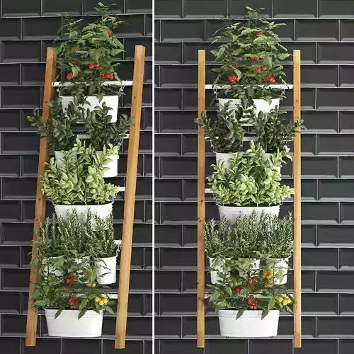 Decorative plants for the kitchen on railing 35