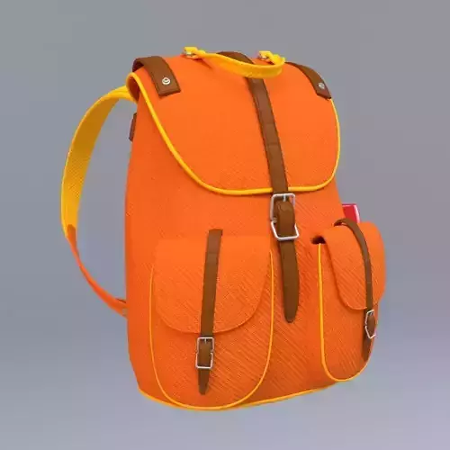 Stylized School Bag