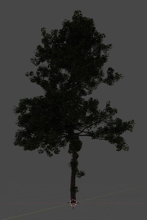 Another tree 3D model_3