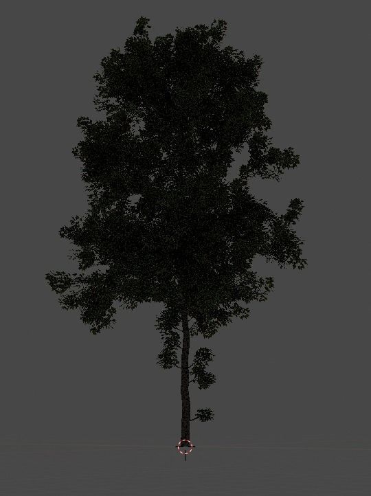 Another tree 3D model_2