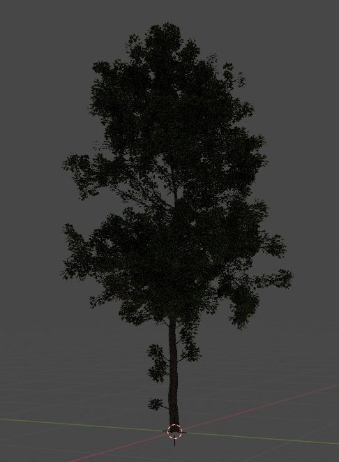 Another tree 3D model_4