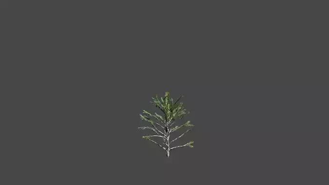 Oaktree tree Low-poly 3D model
