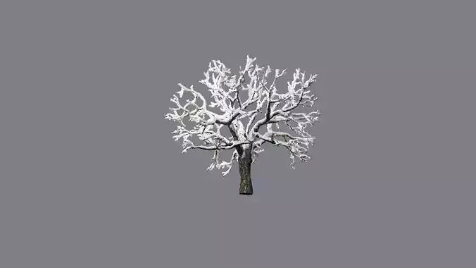 Low Poly Tree Winter Stylish