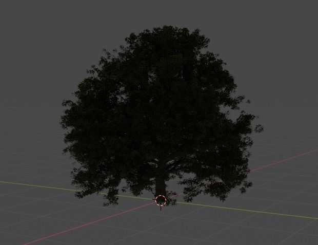 Old oak tree 3D model_4
