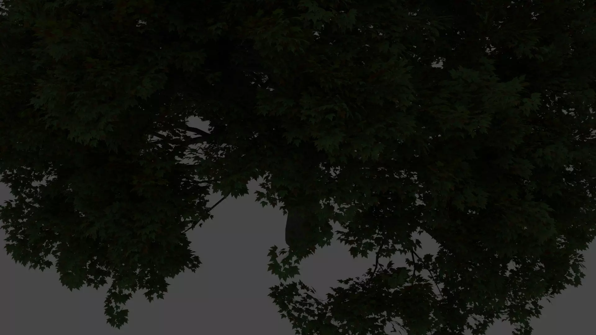 Old oak tree 3D model_0