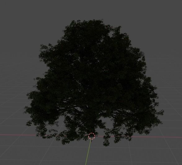 Old oak tree 3D model_6
