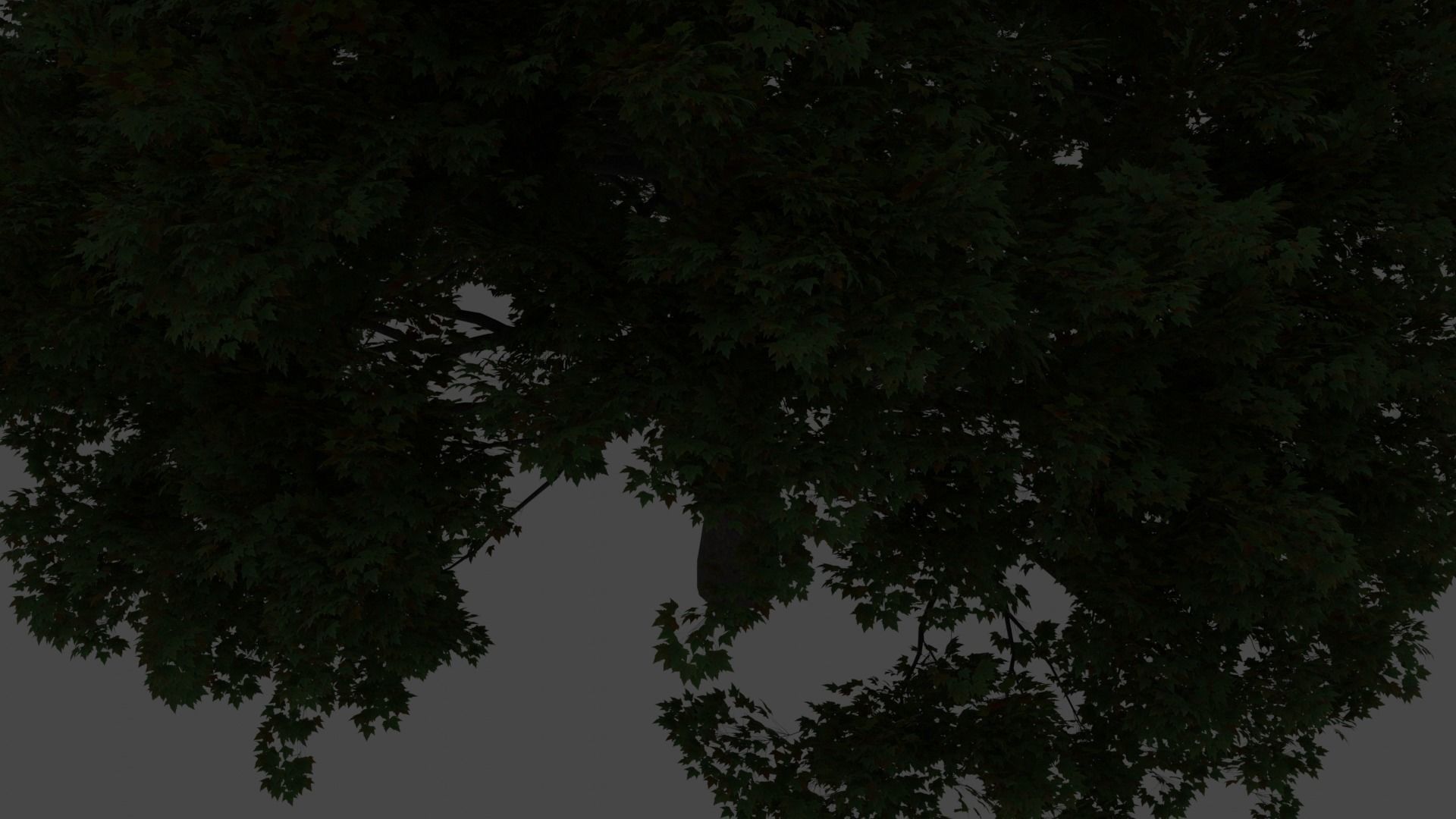 Old oak tree 3D model_1