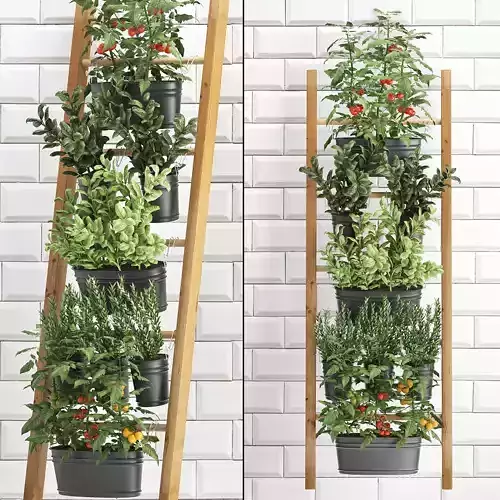 Decorative plants for the kitchen on railing 36