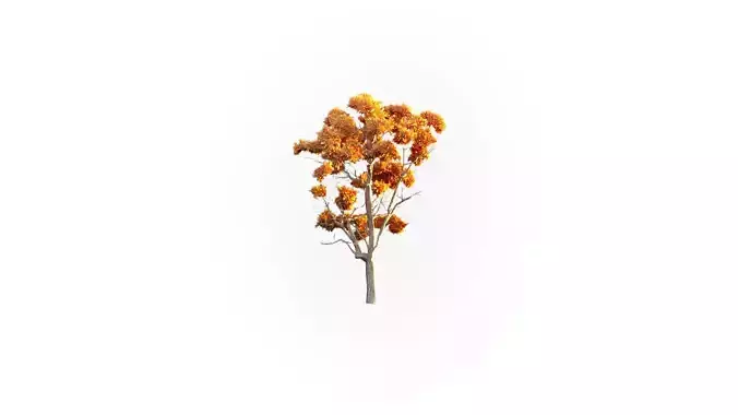 Low Poly Tree Autumn Stylish Low-poly 3D model