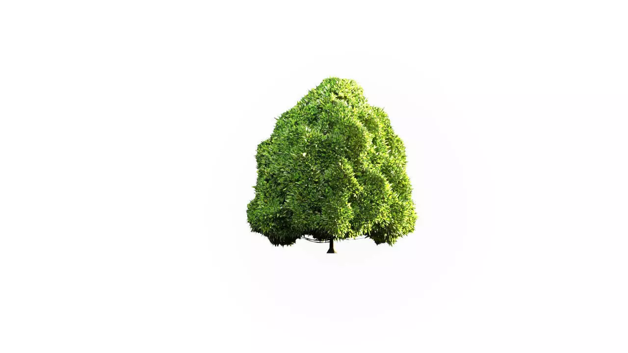 Low Poly Tree Stylish Low-poly 3D model