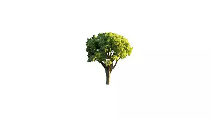 Low Poly Tree Stylish