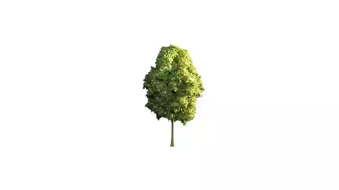 Low Poly Tree Stylish Low-poly 3D model