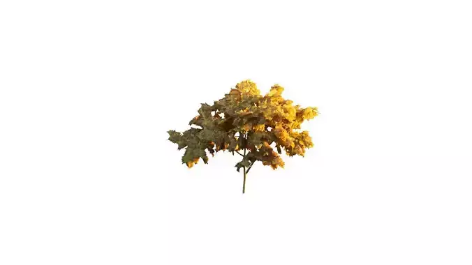 Low Poly Tree Autumn Stylish Low-poly 3D model