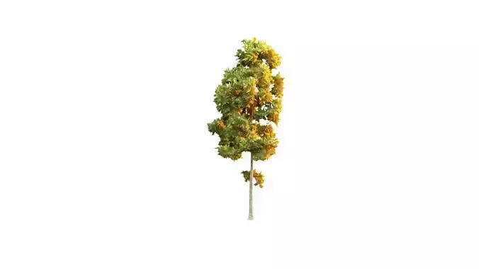 Low Poly Tree Autumn Stylish Low-poly 3D model