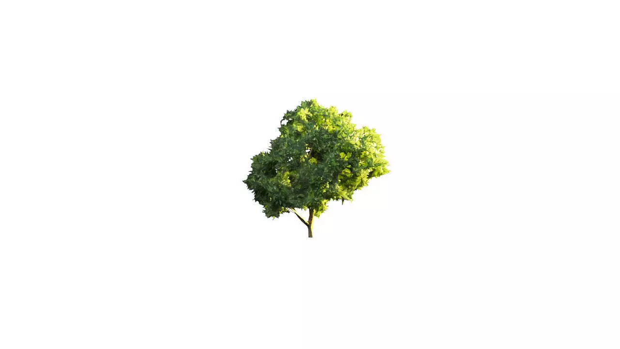 Low Poly Tree Stylish Low-poly 3D model_0