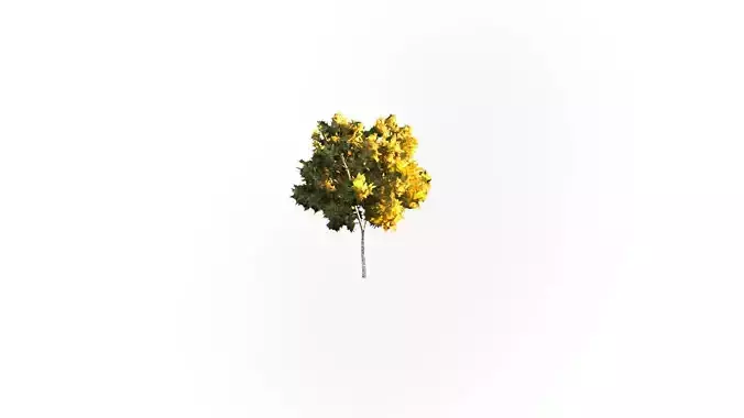 Low Poly Tree Autumn Stylish Low-poly 3D model