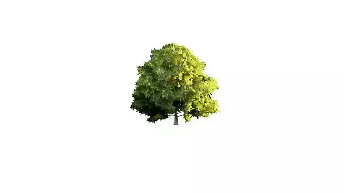Low Poly Tree Stylish Low-poly 3D model